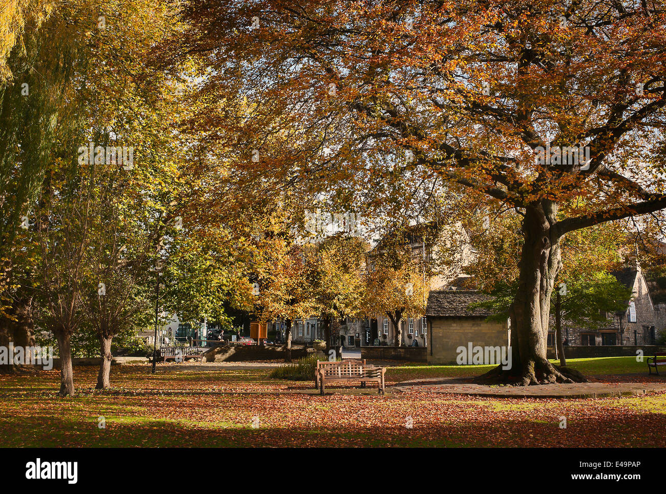 Autumn in a public garden in Bradford on Avon UK( Stock Photo