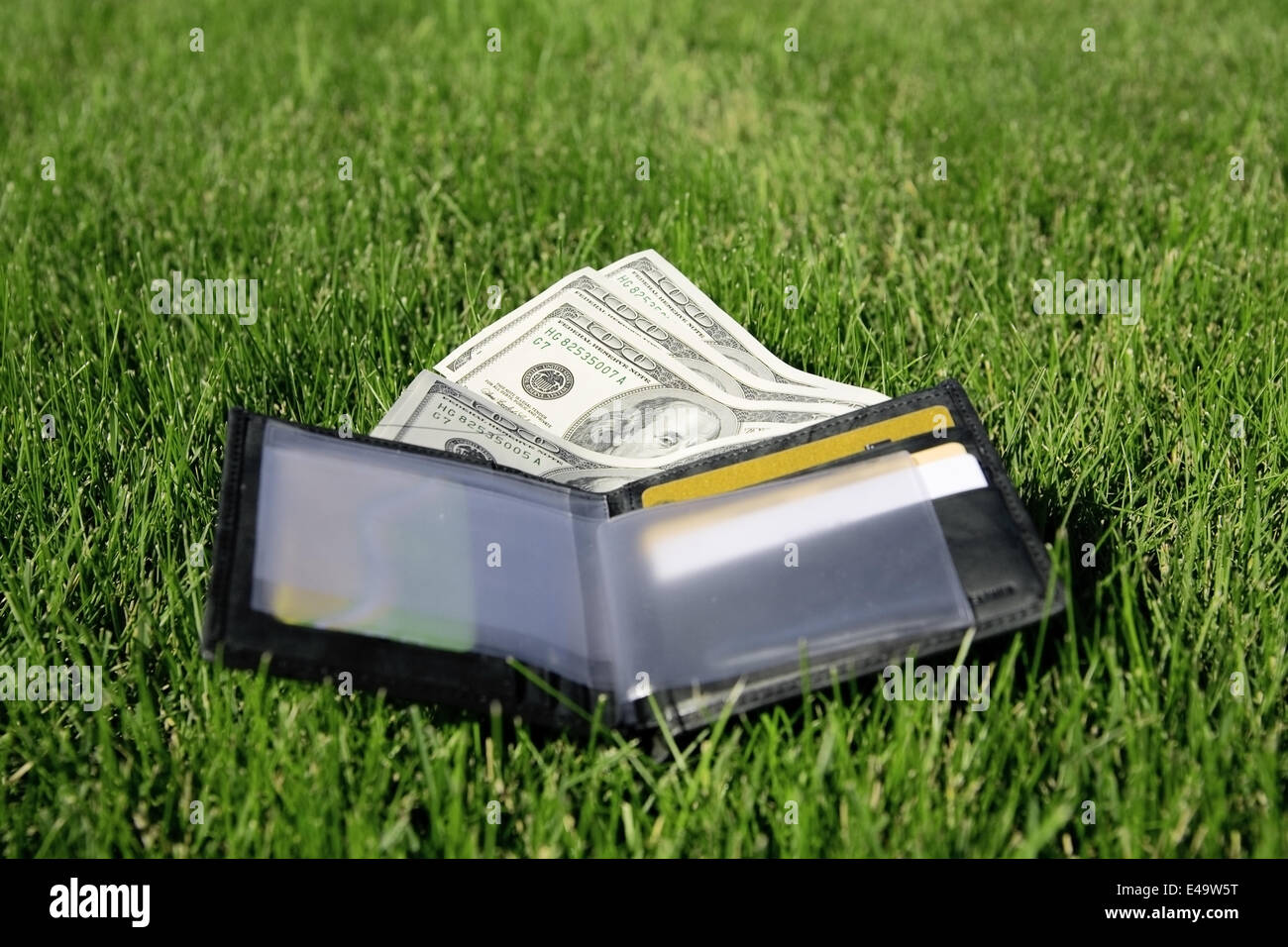 leather purse with a money Stock Photo Alamy