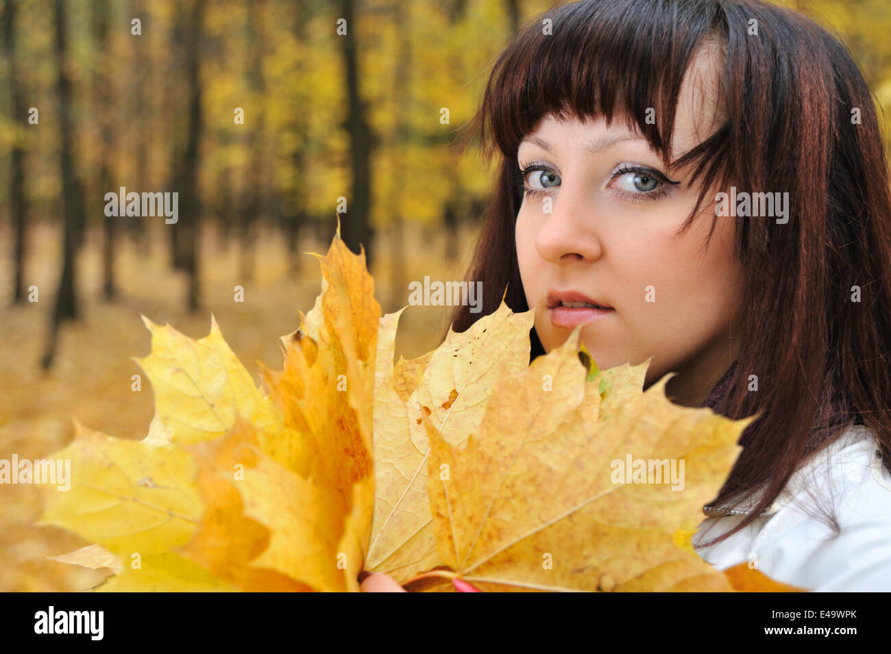 The girl in an autumn forest Stock Photo - Alamy