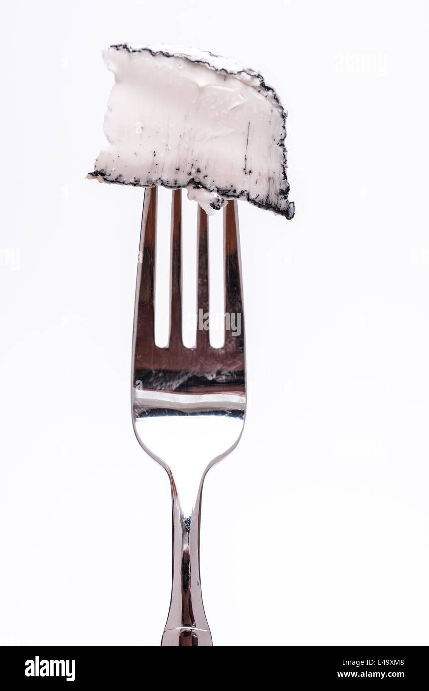 Rind of ash hires stock photography and images Alamy