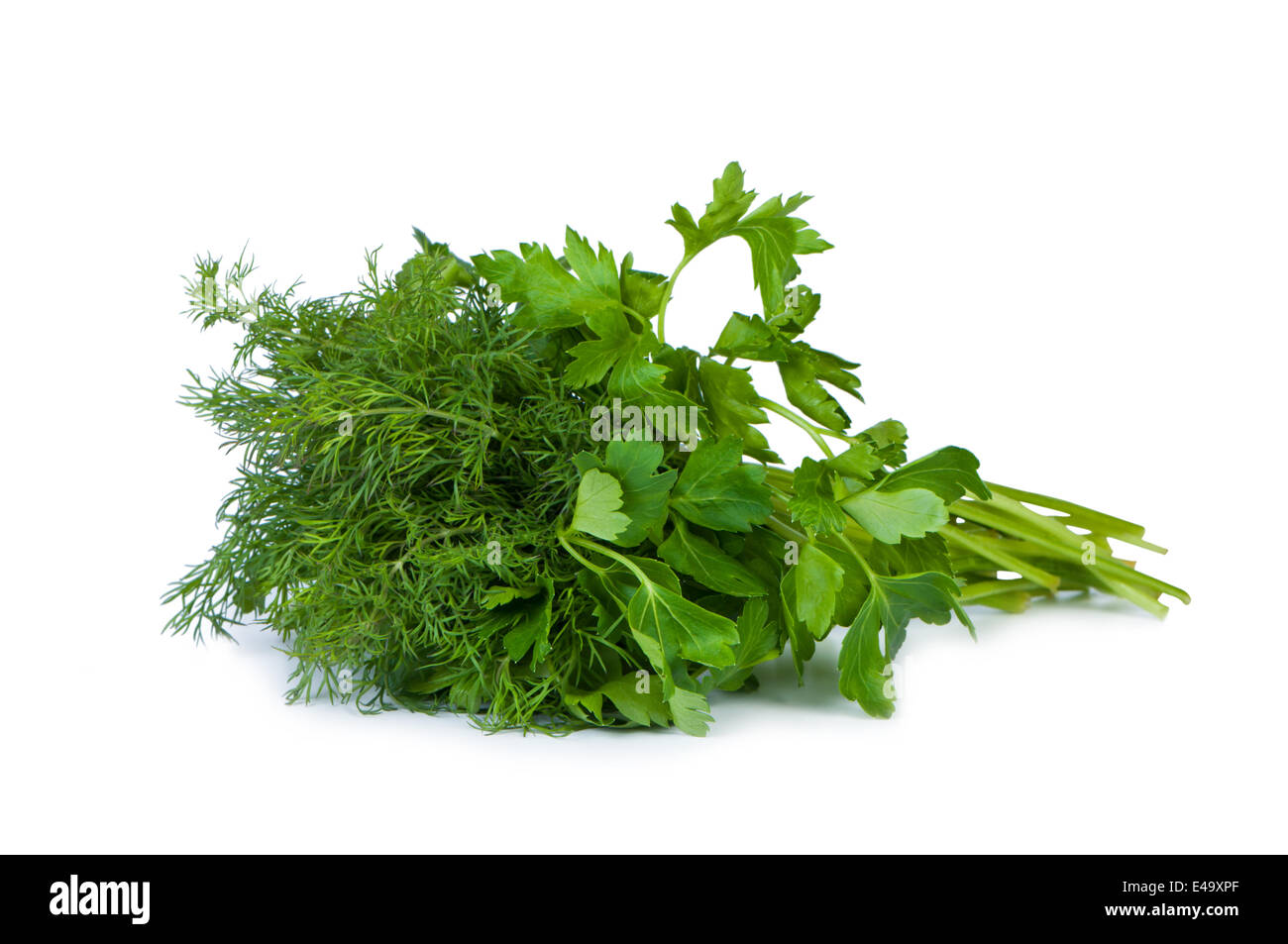 Parsley and dill on white background. Stock Photo