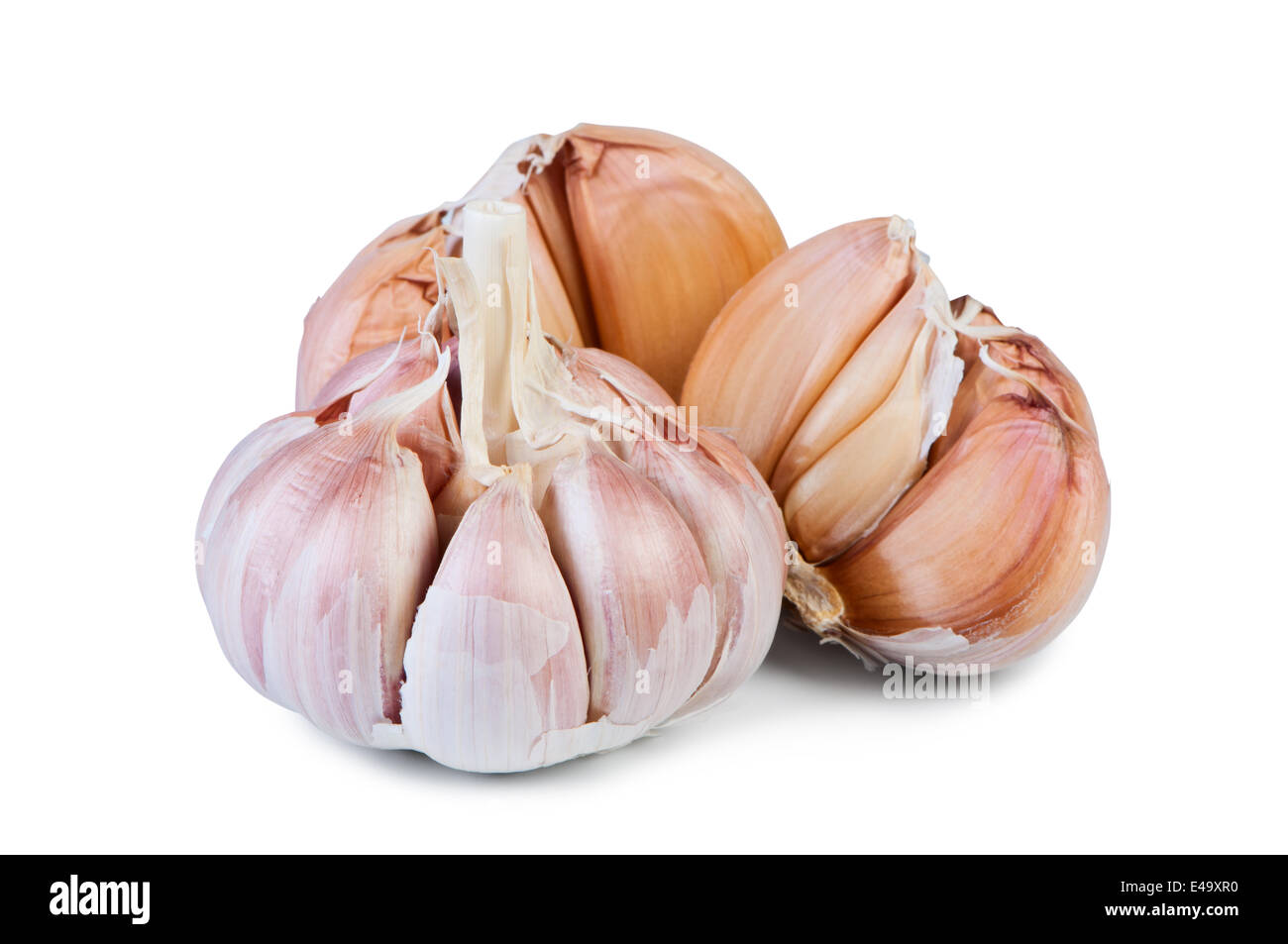 Garlic on white background. Stock Photo