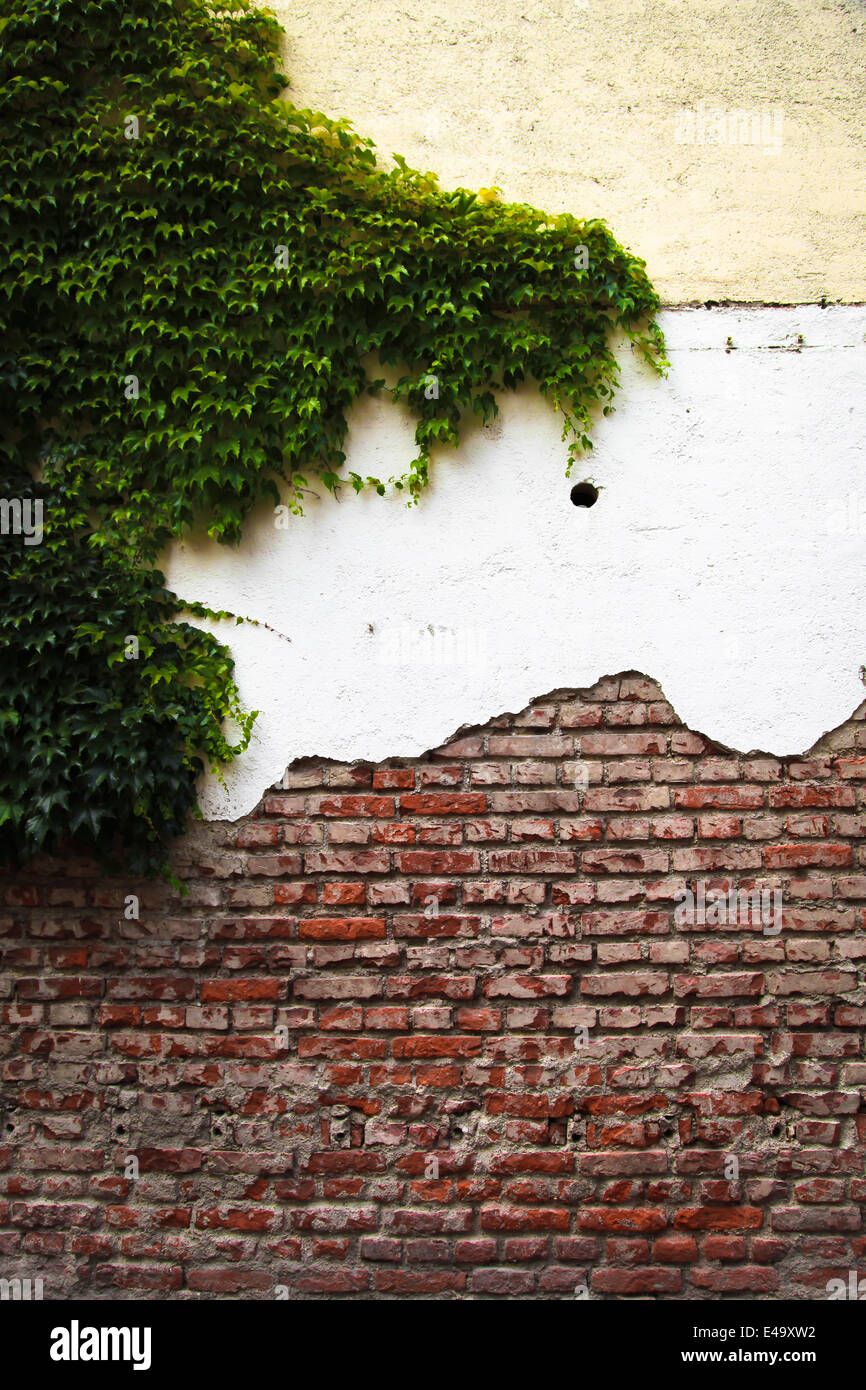 House facade with different layers and facade greenery Stock Photo - Alamy