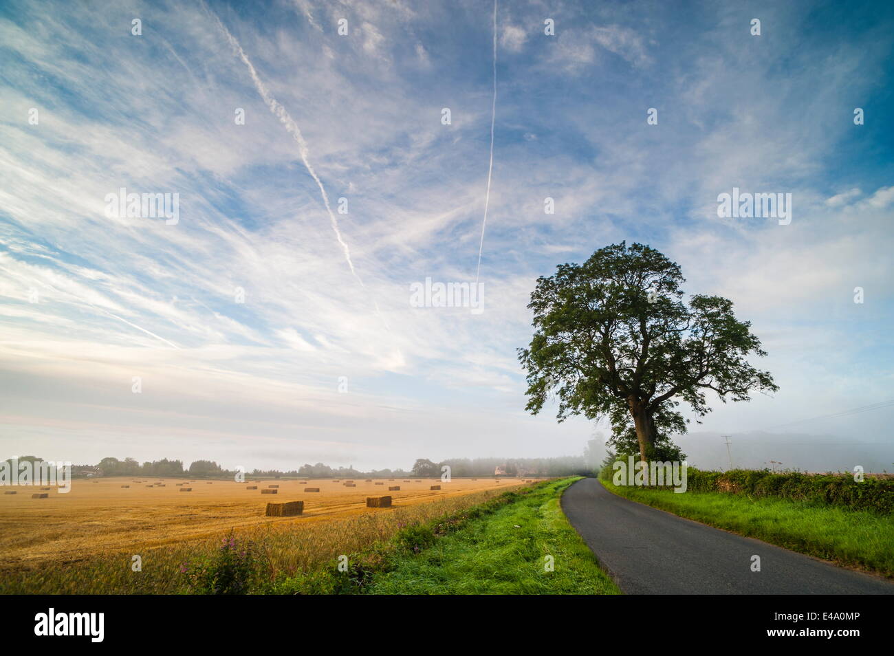 Quiet country road, Longborough, The Cotswolds, Gloucestershire, England, United Kingdom, Europe Stock Photo