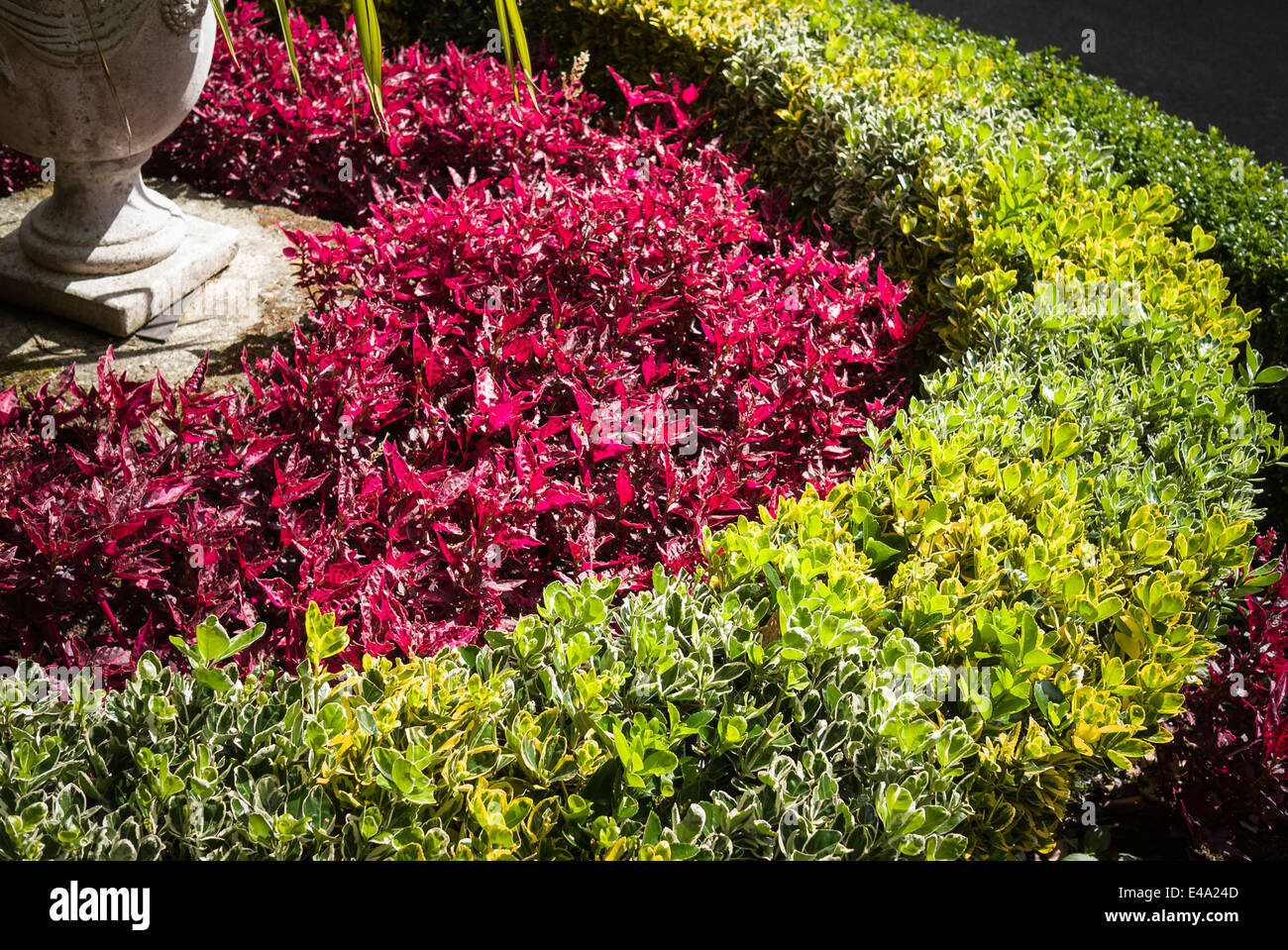 Segment of concentric bedding feature in a private Guernsey garden Stock Photo
