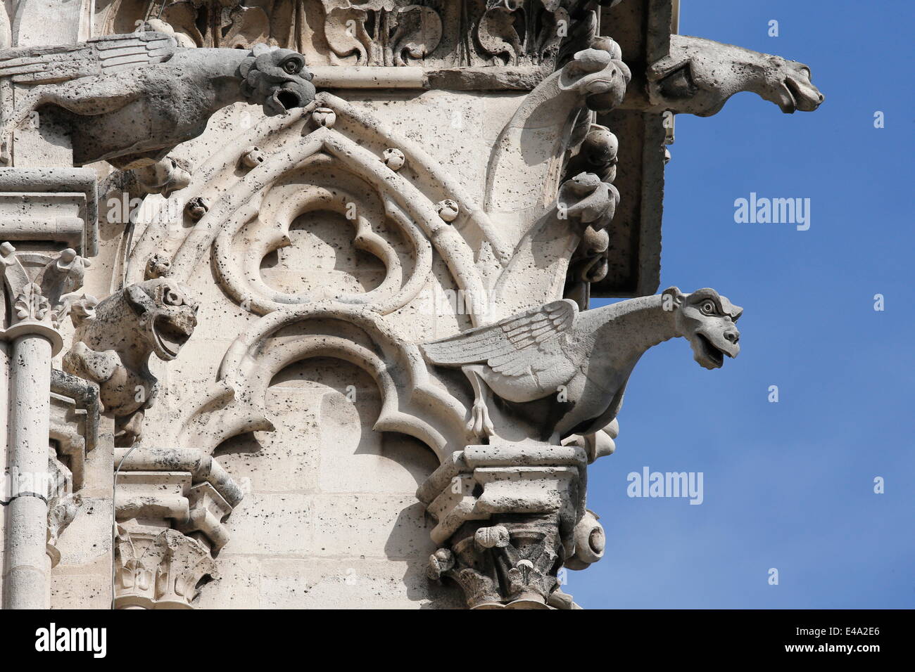 Gargoyles, Notre Dame de Paris cathedral, Paris, France, Europe Stock Photo
