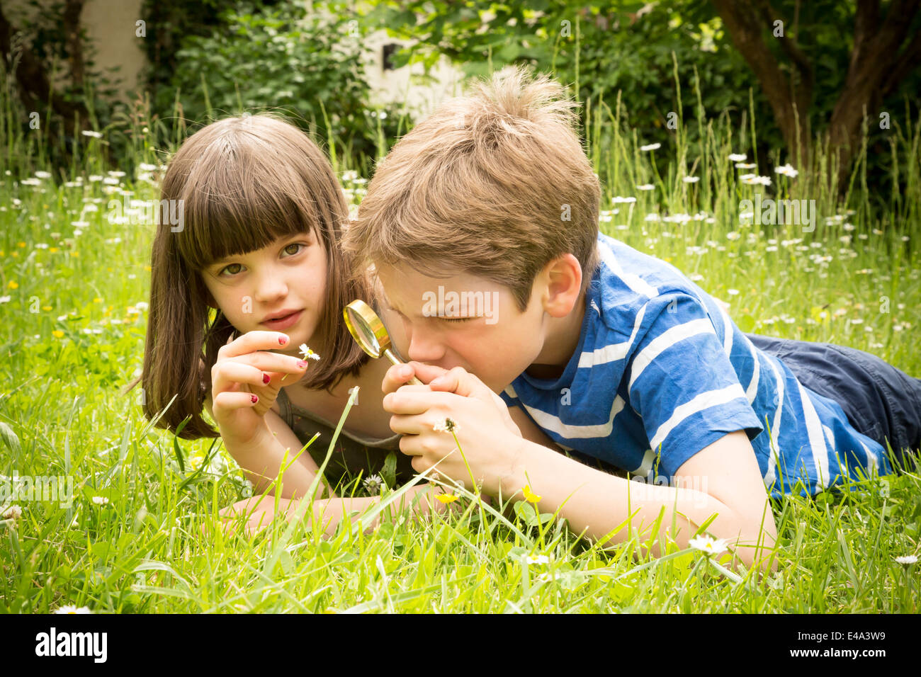 Portrait of brother and sister lying on meadow in the garden having fun ...