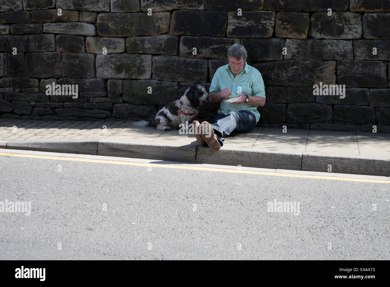 What Happens If A Dog Eats Chips