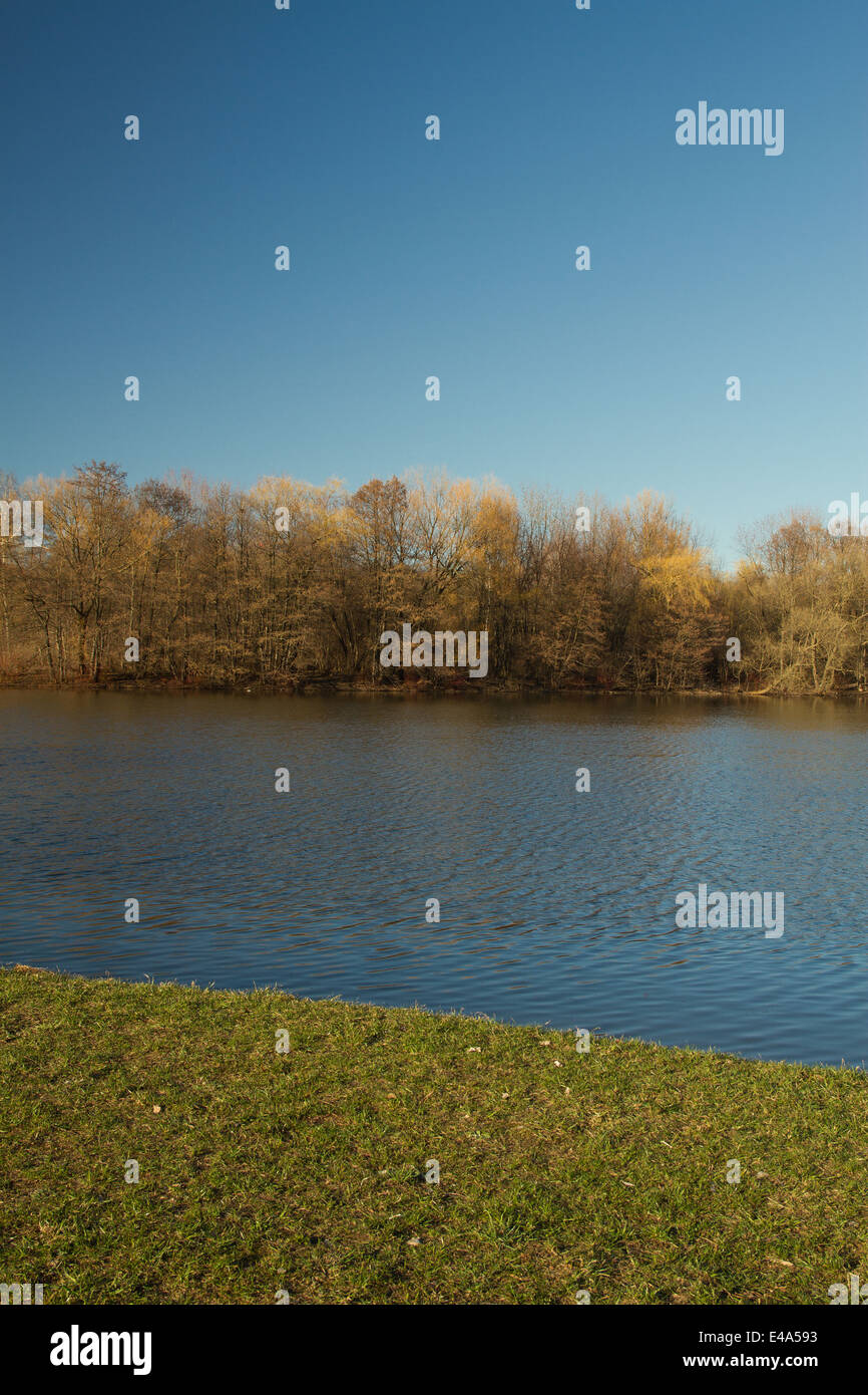 on the shore of a beautiful lake with trees Stock Photo - Alamy