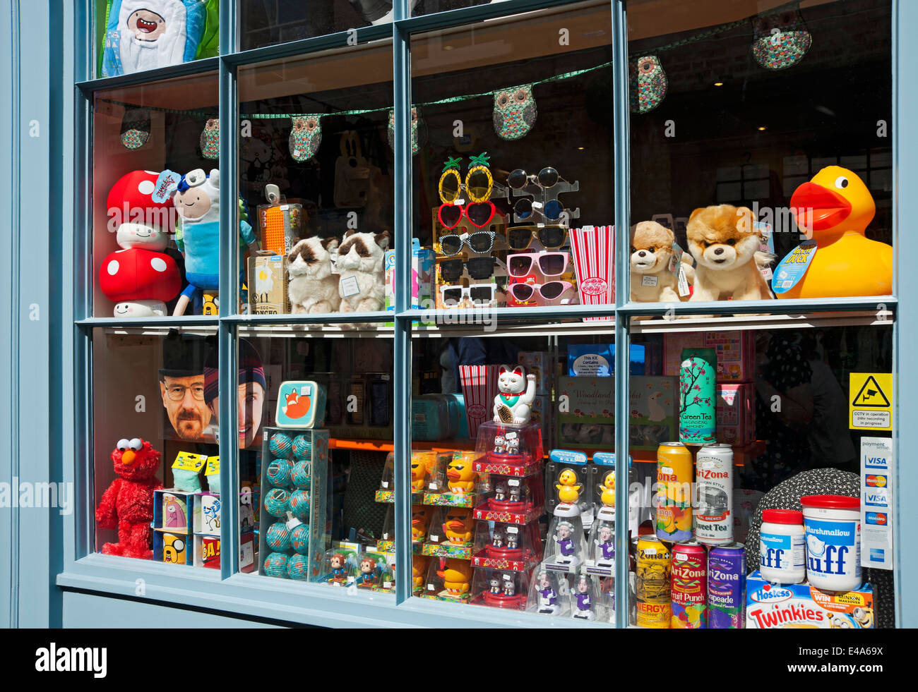 Window display of toy shop York North Yorkshire England UK United Stock