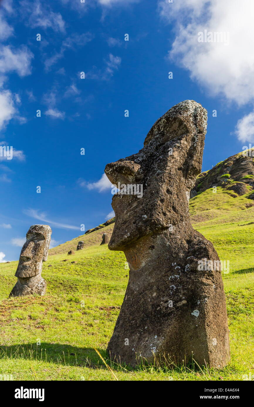 Moai sculptures in various stages of completion at Rano Raraku, Rapa Nui National Park, UNESCO, Easter Island, Chile Stock Photo