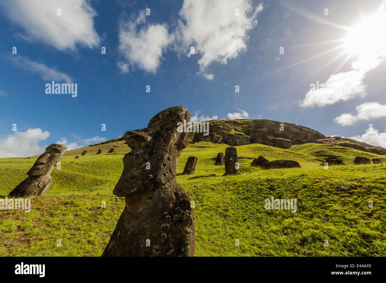 Moai sculptures in various stages of completion at Rano Raraku, Rapa Nui National Park, UNESCO, Easter Island, Chile Stock Photo