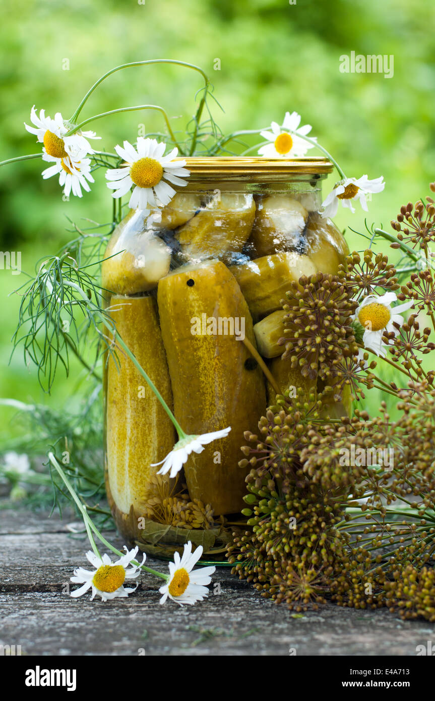 How to pickle cucumbers for the winter in banks How to pickle cucumbers for the winter in banks