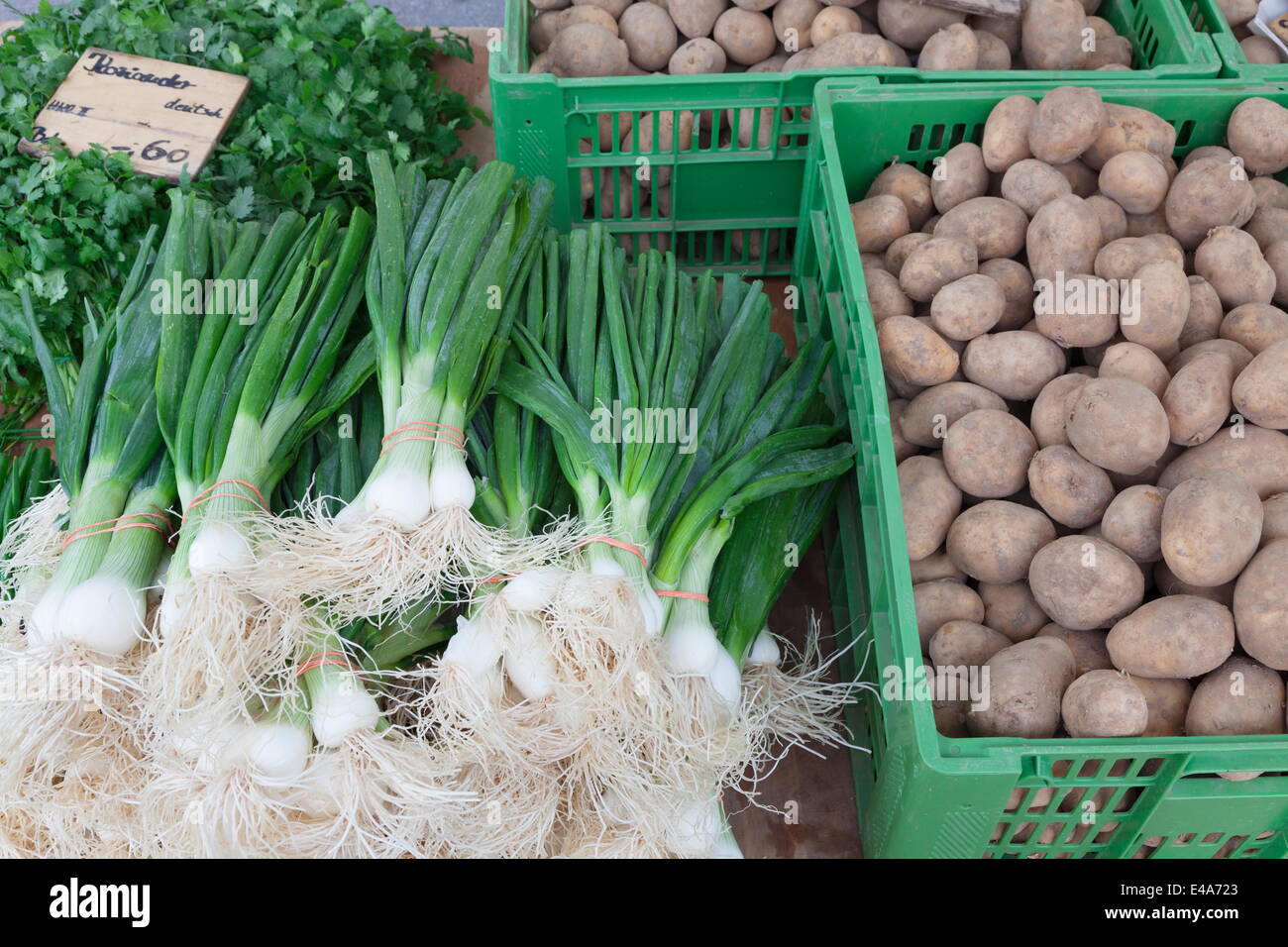 Onions, potatoes and coriander at a market stall, weekly market, market
