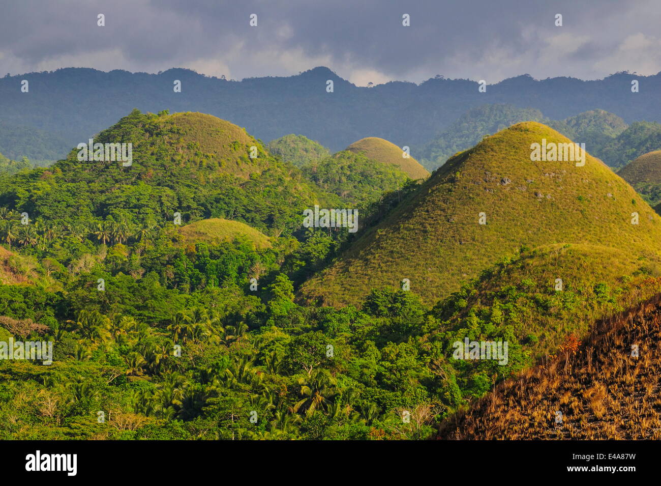 Chocolate Hills, Bohol, Philippines, Southeast Asia, Asia Stock Photo
