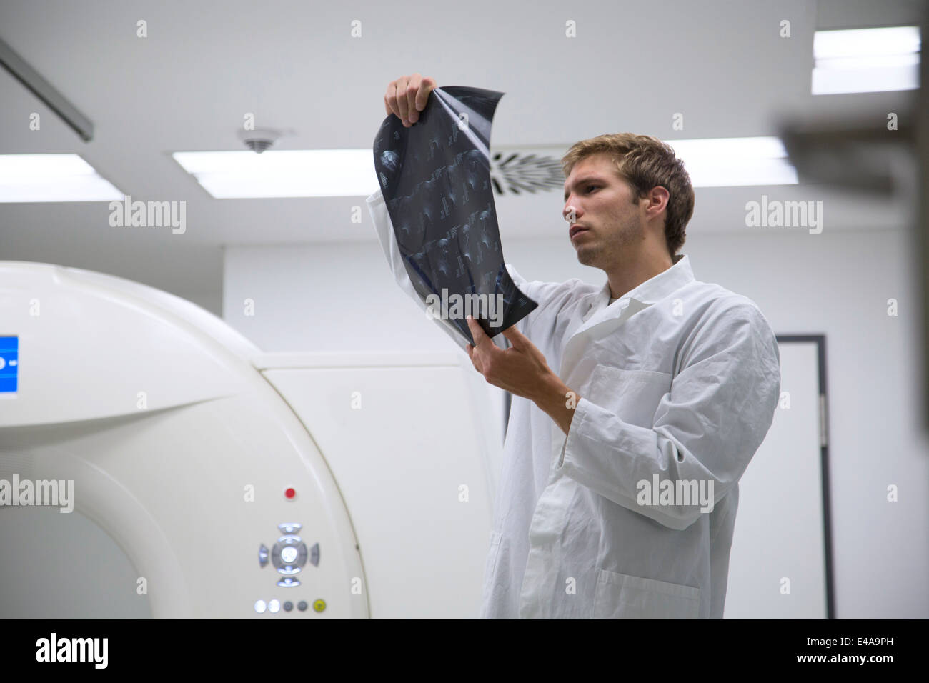 Radiologist looking at radiography in hospital Stock Photo