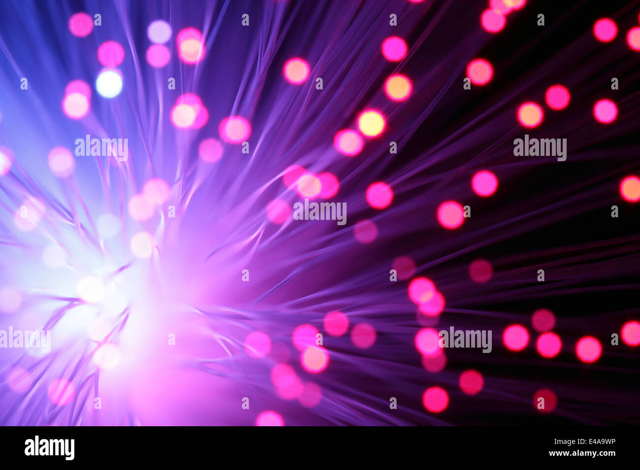 Purple Fibre Optics High Resolution Stock Photography and Images - Alamy
