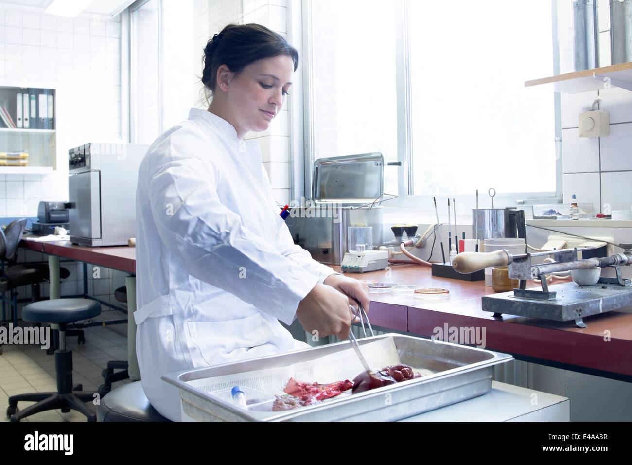 Female food analyst working in laboratory Stock Photo Alamy