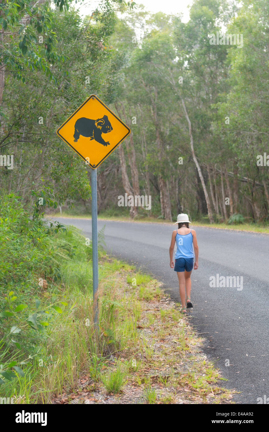 Australia, New South Wales, Pottsville, roadsign with a koala bear and