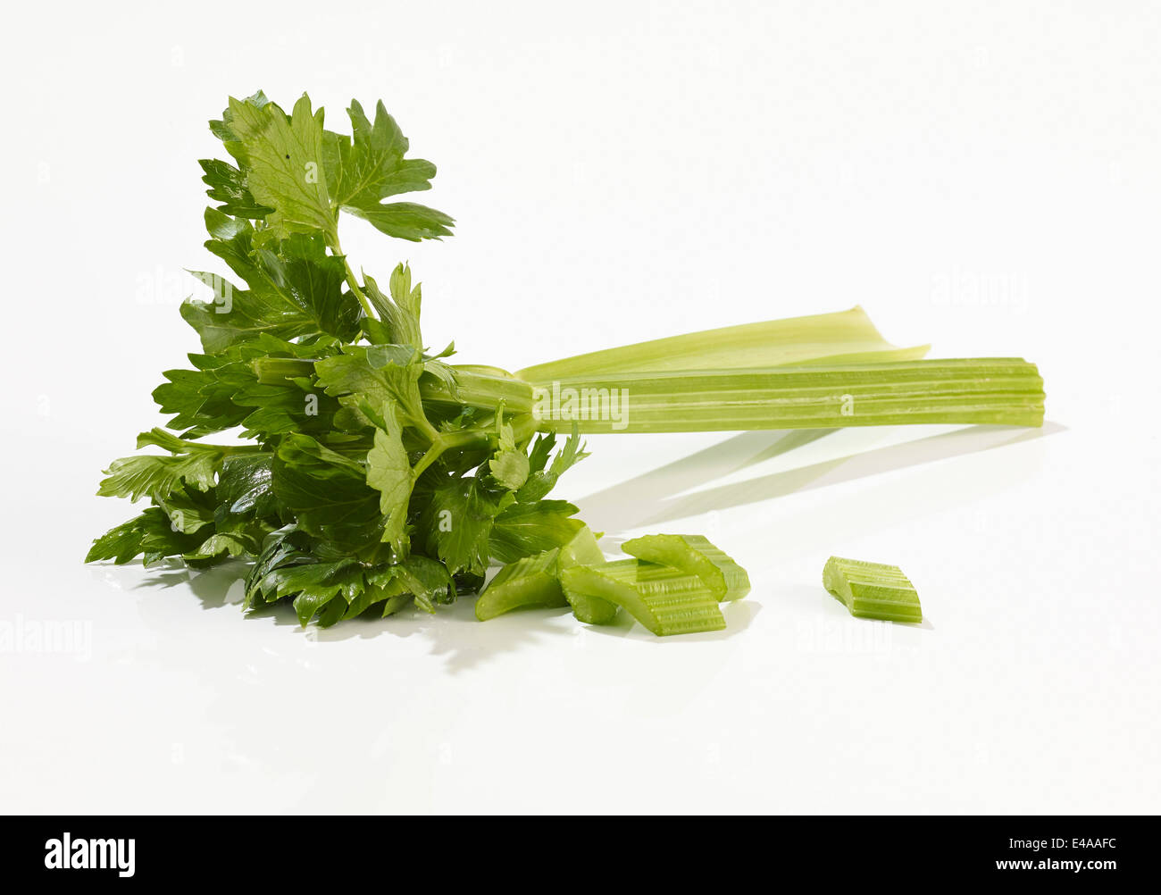 Two celery stalks and parts in front of white background Stock Photo Alamy
