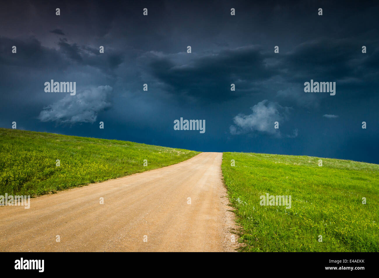 seasonal thunder storms building up in Custer state park, South Dakota Stock Photo Alamy