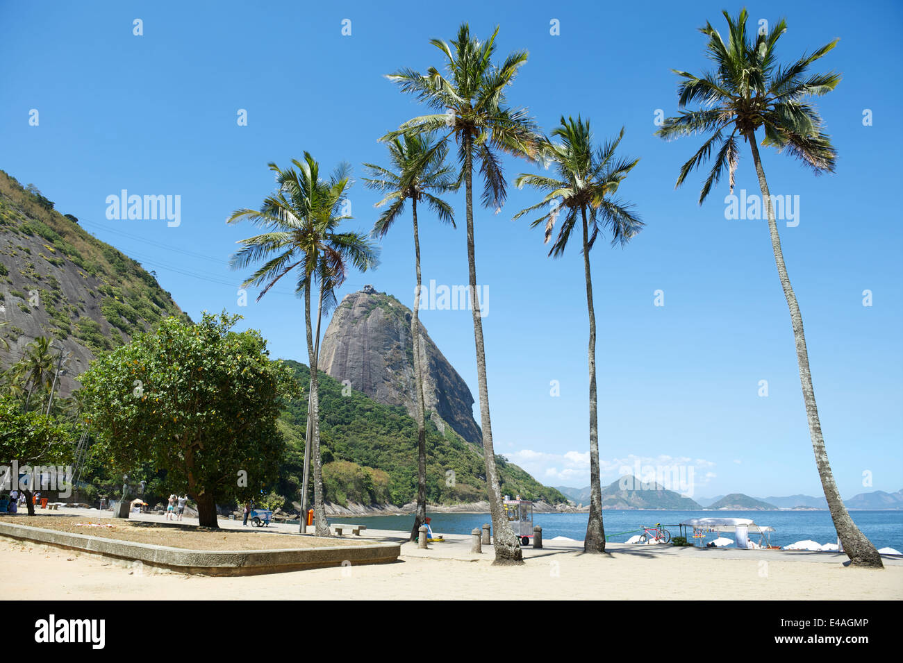 Classic view of Sugarloaf Mountain Pao de Acucar Rio de Janeiro Brazil and Praia Vermelha Red Beach at Urca with palm trees Stock Photo