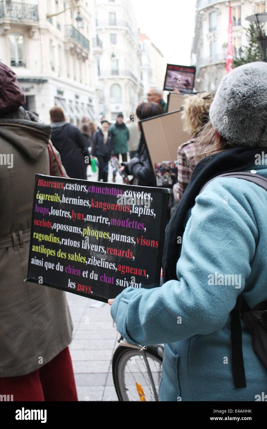 Protest Against Animal Torture Animal Experimentation And