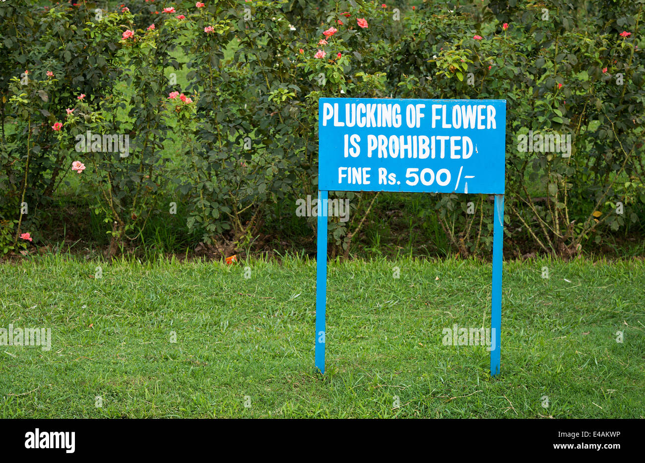 Plucking of flowers prohibited Stock Photo Alamy