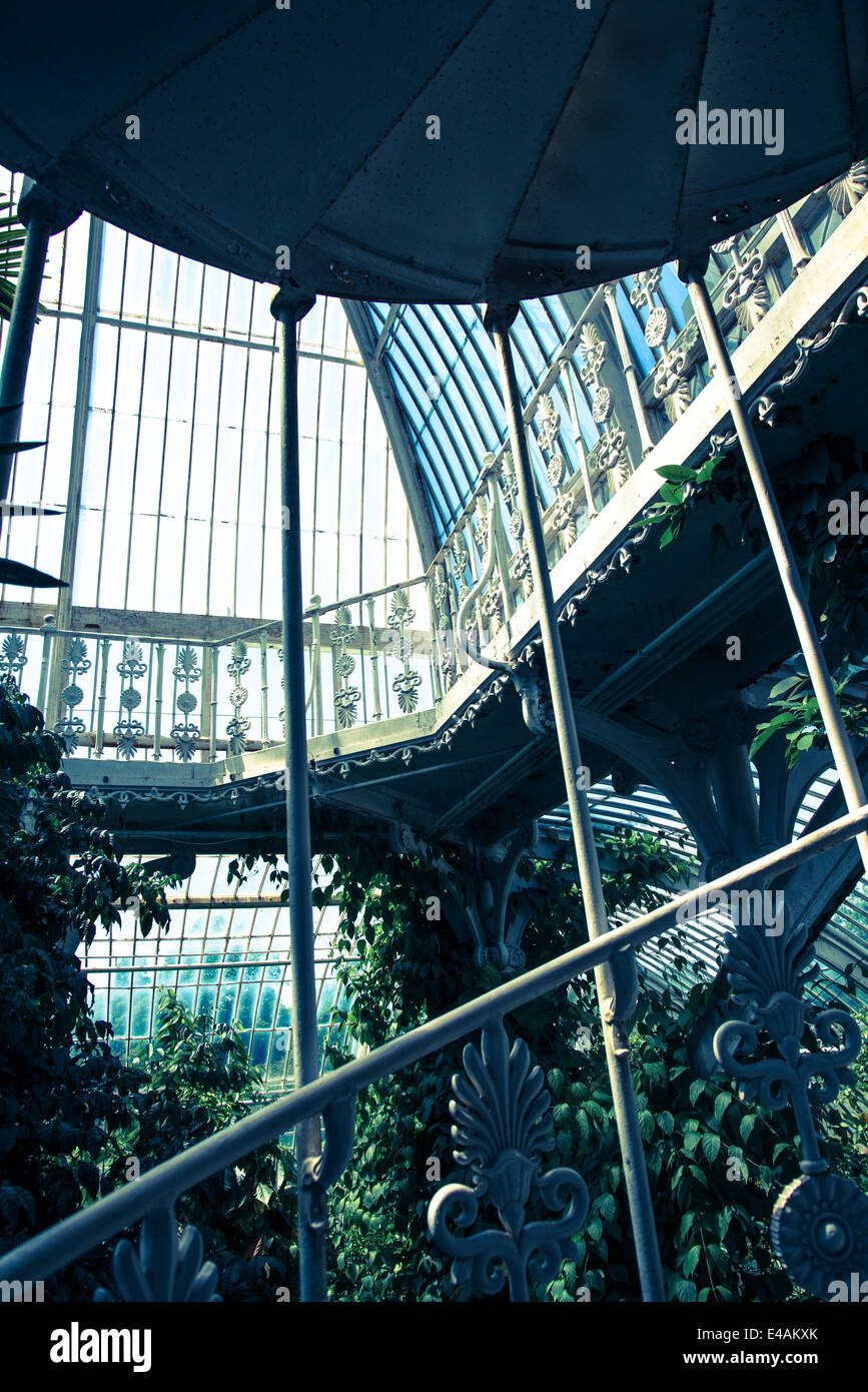 Palm house interior, Kew Royal Botanic Gardens, London, UK Stock Photo