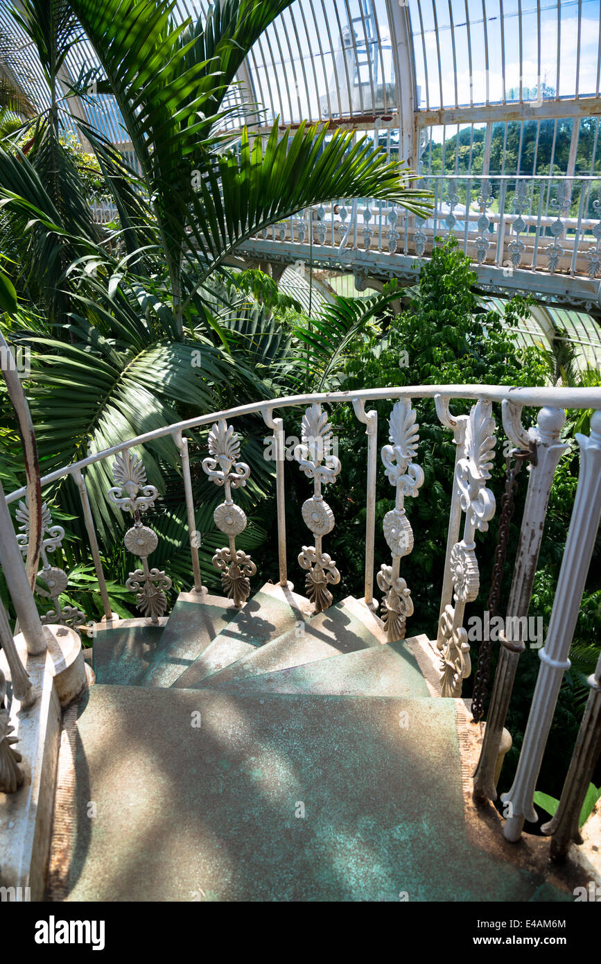 Palm house interior, Spiral staircase, Kew Royal Botanic Gardens, London, UK Stock Photo