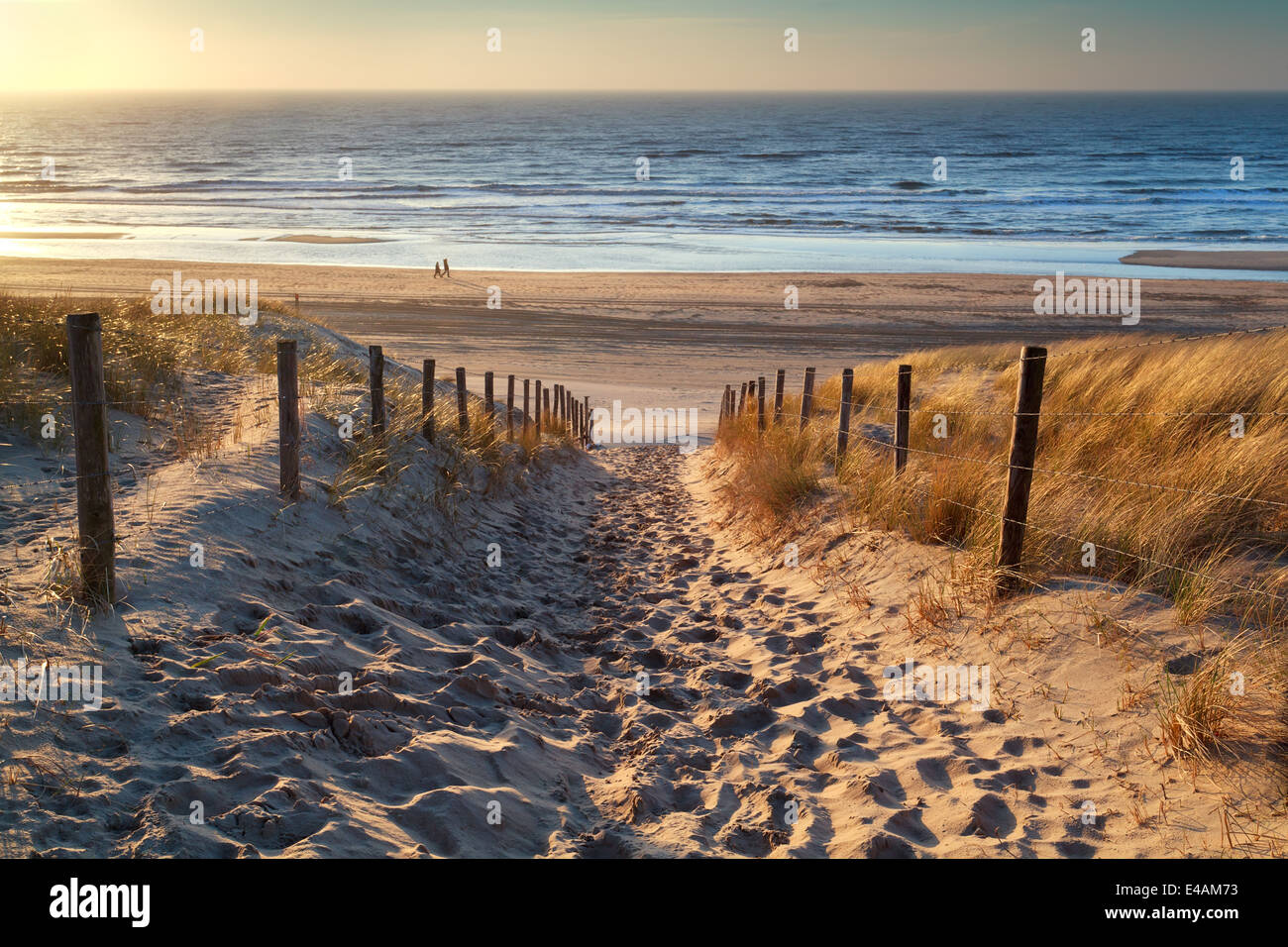 path to the sea and couple on beach at sunset, North sea, Holland Stock Photo