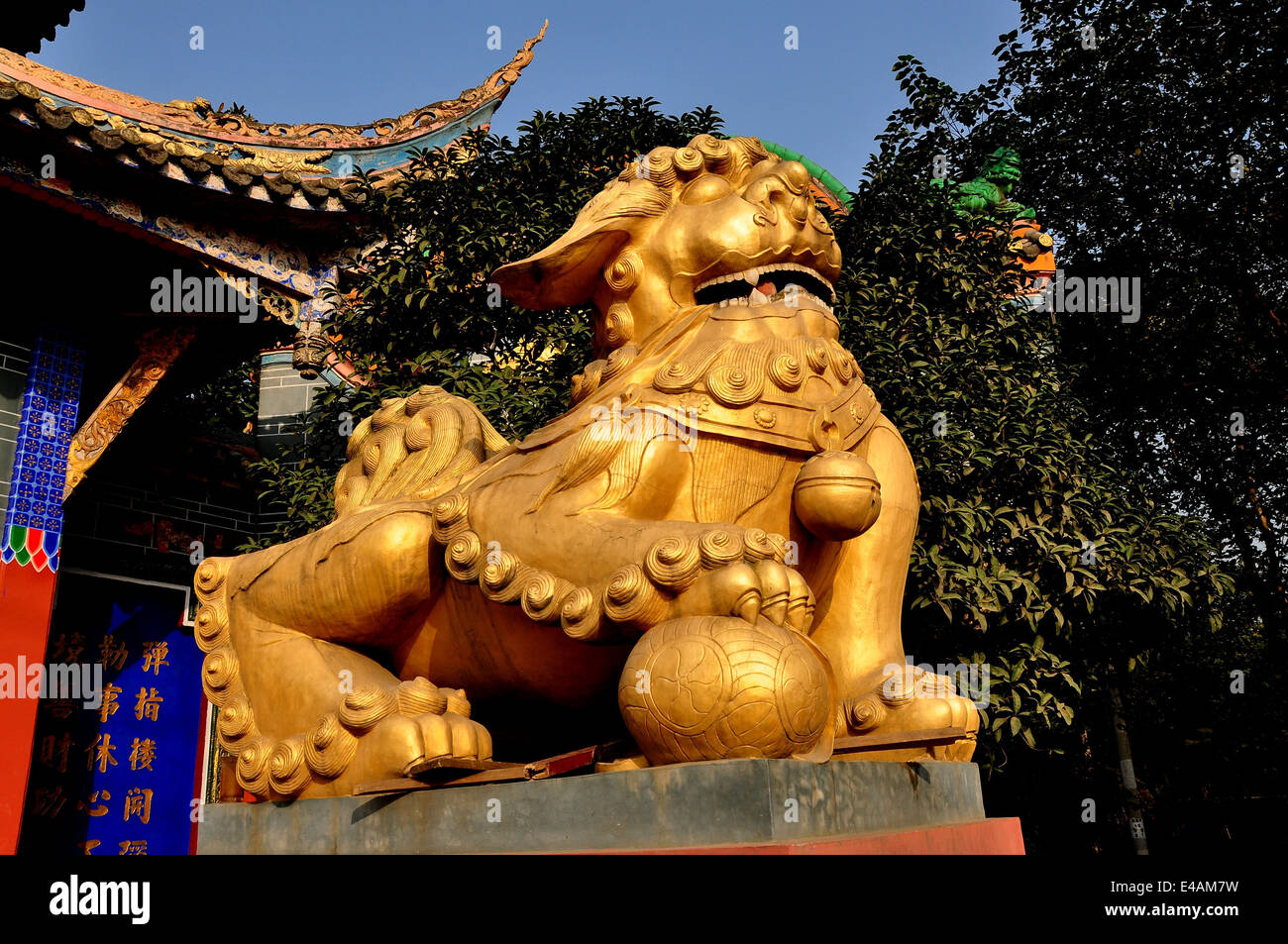 PENGZHOU, CHINA One of the two large gilded Fu Dog statues flanking the entrance to the Ci Ji