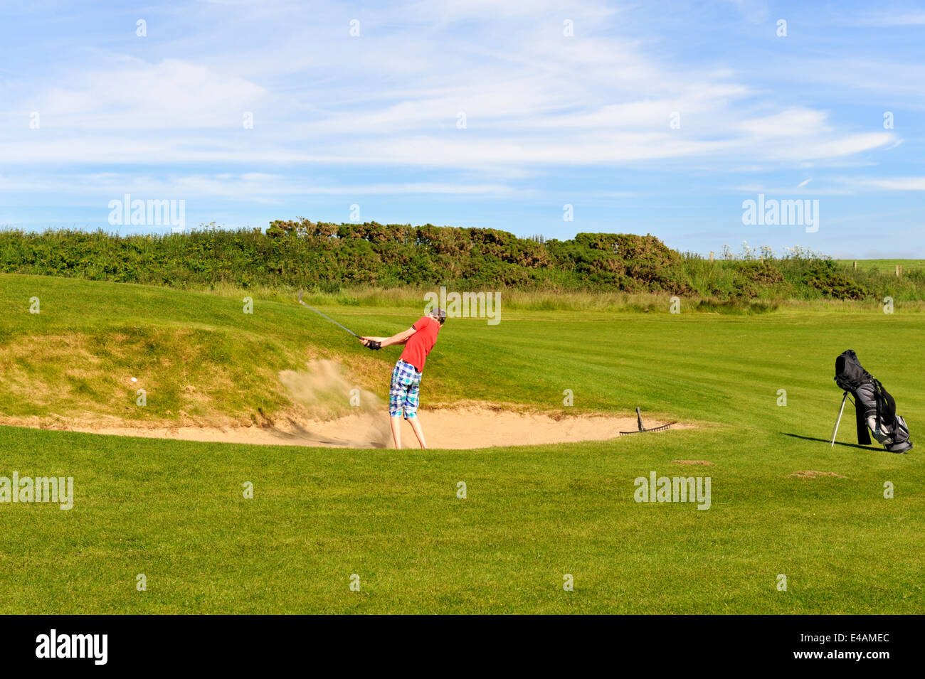 Golfer practising in sand trap of Newport Links Golf Club & Resort,  Pembrokeshire, Wales, UK Stock Photo - Alamy