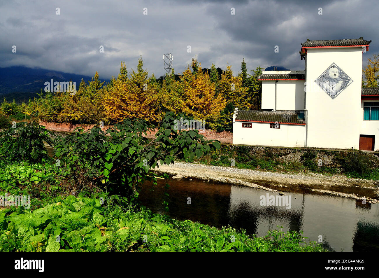 Chinese shaped trees hi-res stock photography and images - Alamy