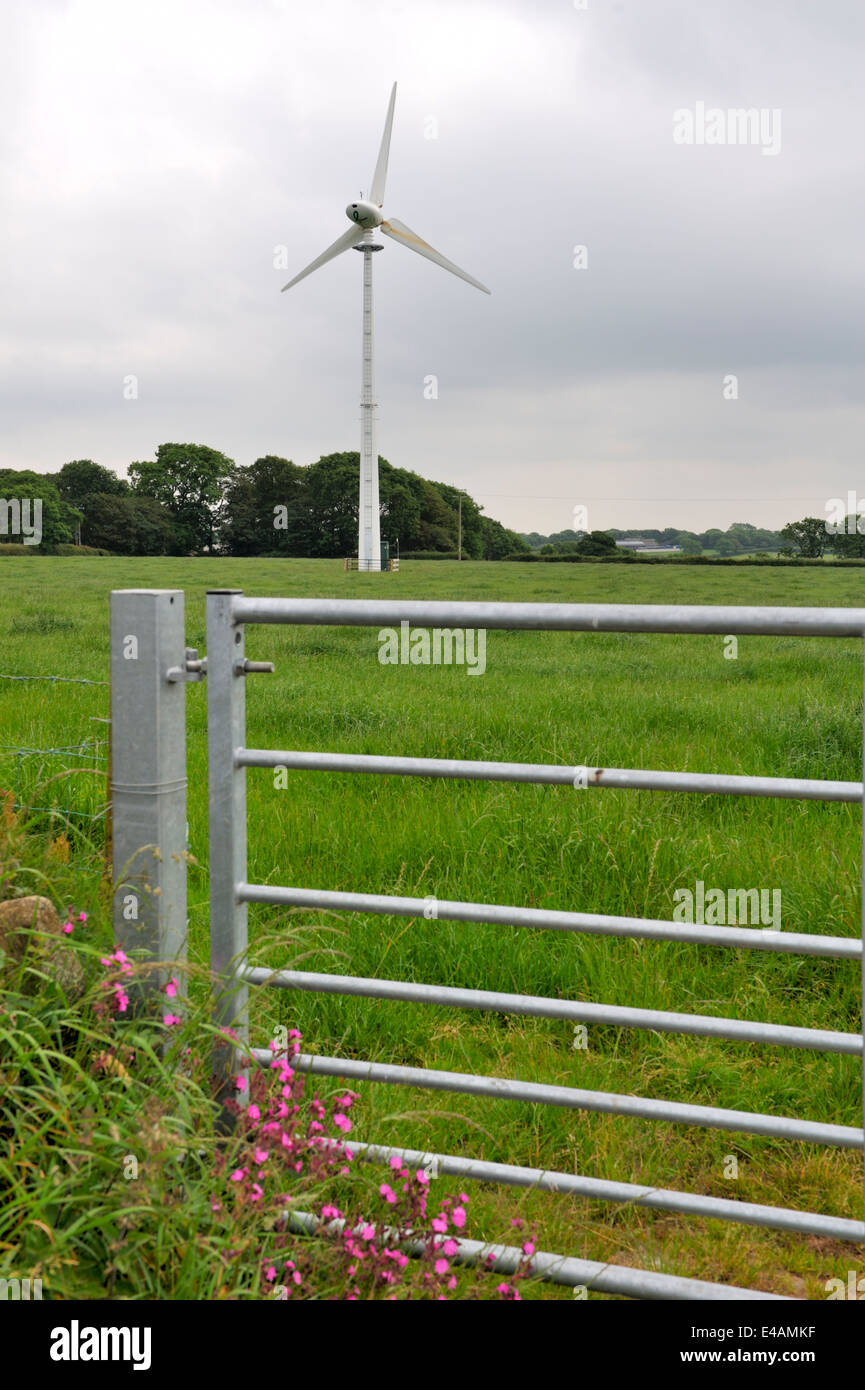 Single wind turbine in the middle of a farmers field near Haverfordwest, Wales Stock Photo