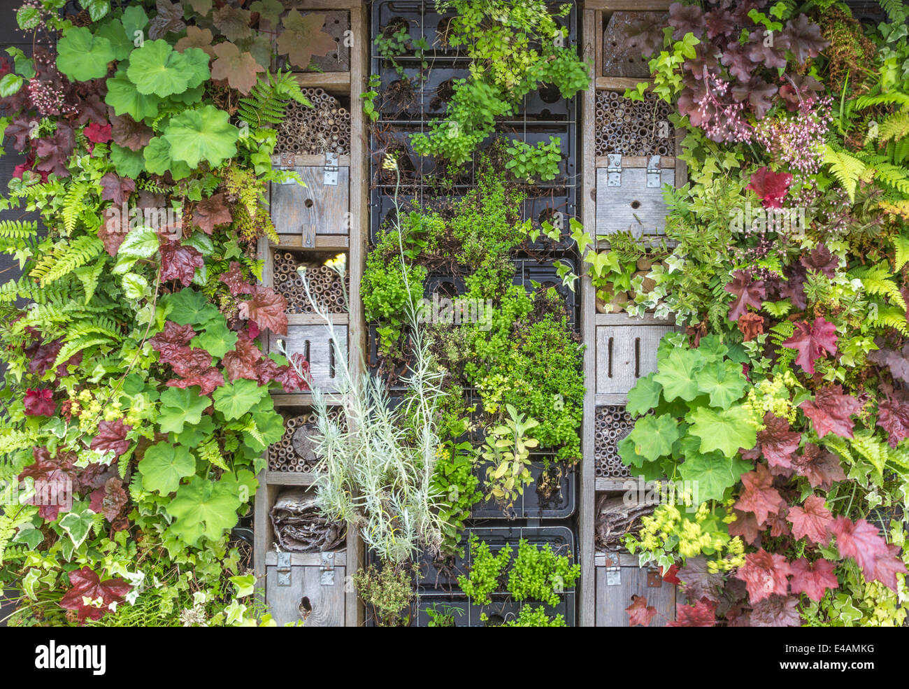 Homes for wildlife hires stock photography and images Alamy