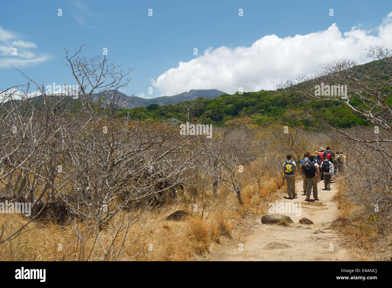 Ecotourism group hiking, Rincon de la Vieja National Park, Costa Rica Guanacaste Province Stock Photo
