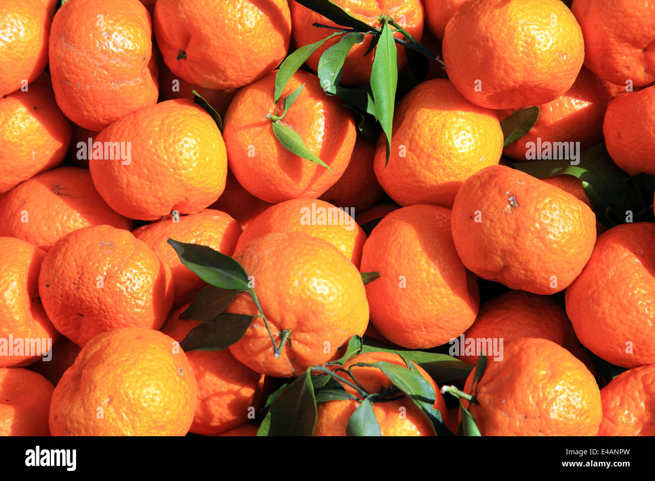 Mandarine oranges close up fruit background Stock Photo