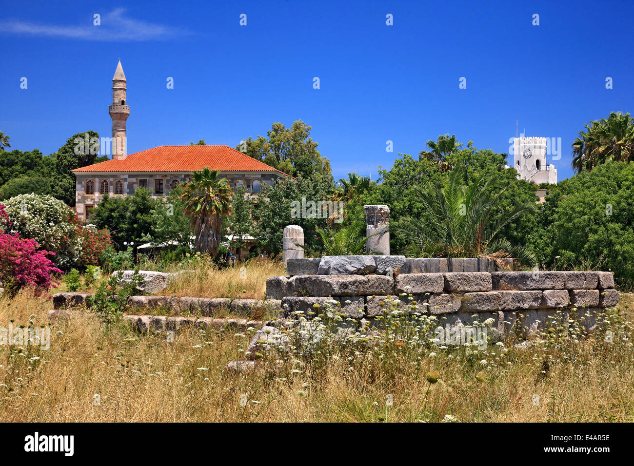 At the archaeological site of Ancient Agora, Kos town, Kos island, Dodecanese, Aegean Sea, Greece. Stock Photo