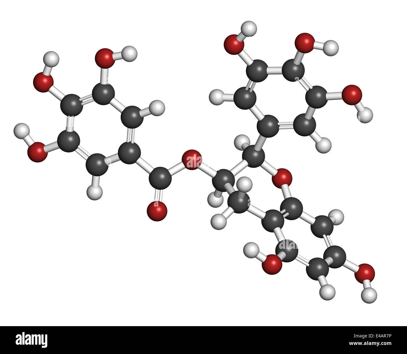 Epigallocatechin gallate (EGCG) green tea polyphenol molecule. Has