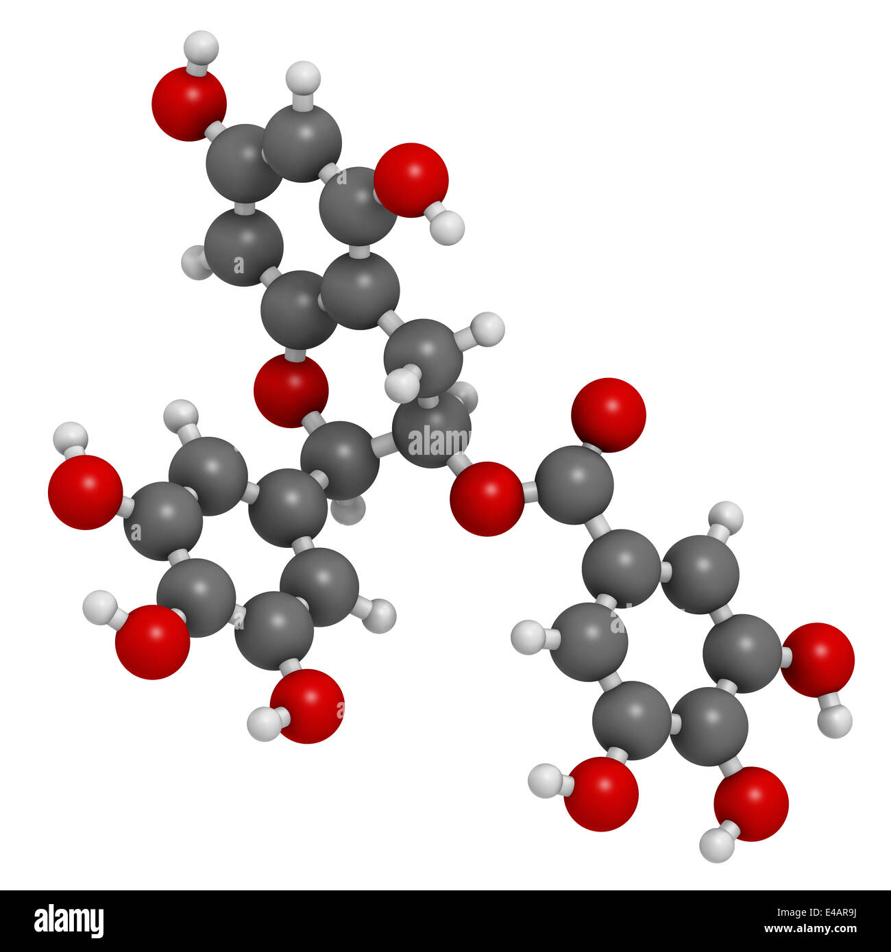 Epigallocatechin gallate (EGCG) green tea polyphenol molecule. Has