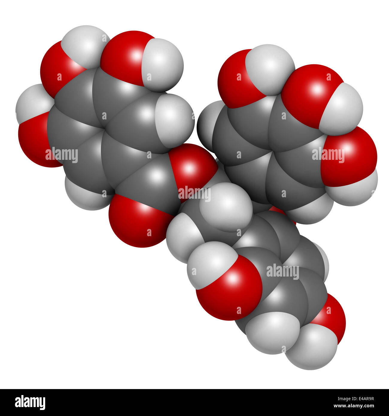 Epigallocatechin gallate (EGCG) green tea polyphenol molecule. Has