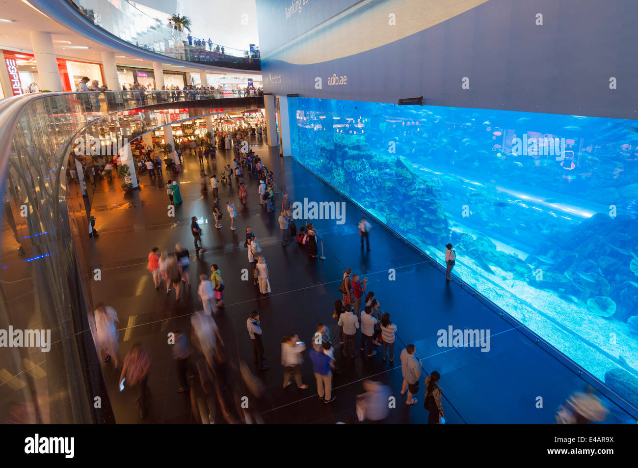 Middle East, United Arab Emirates, Dubai,  Dubai Mall aquarium Stock Photo