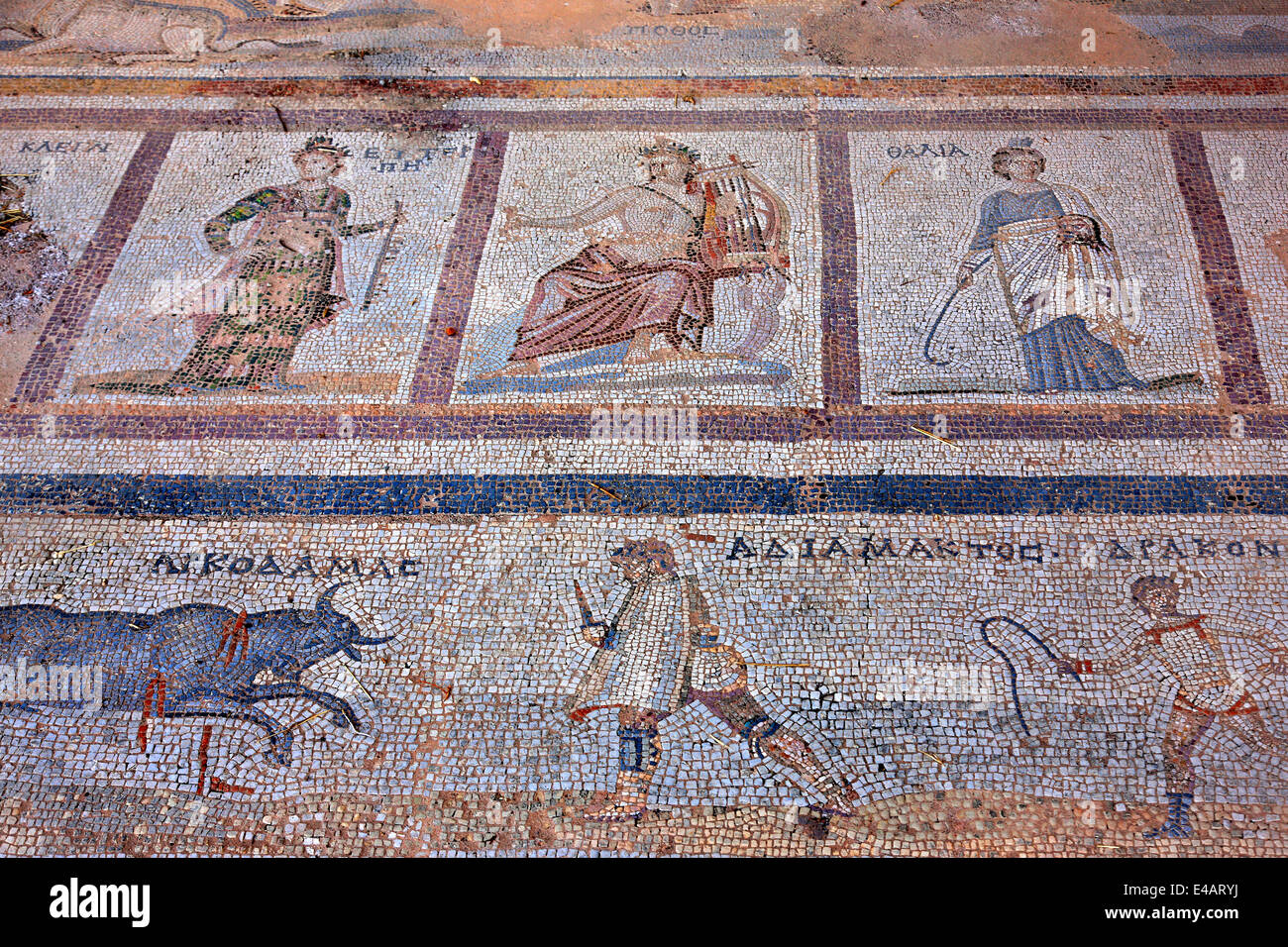 Mosaic of the Muses (detail) at the Western Archaeological site, Kos town, Kos island, Dodecanese, Aegean sea. Stock Photo