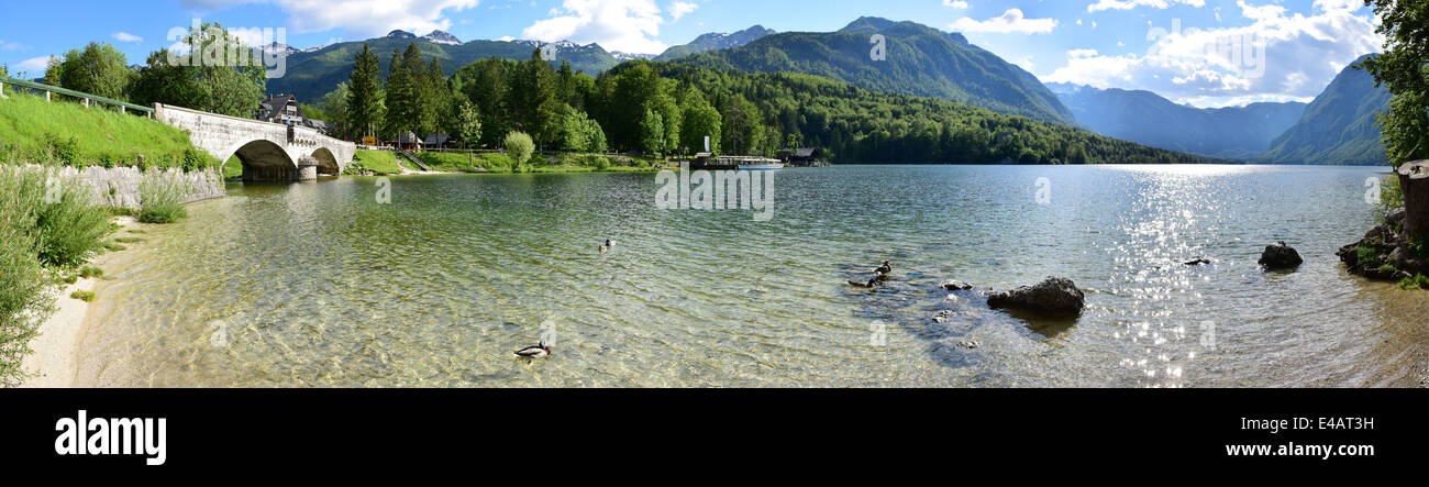 Panoramic of Lake Bohinj, Slovenia Stock Photo