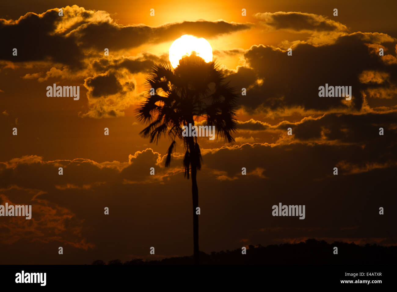 Sunset, Tanzania Stock Photo
