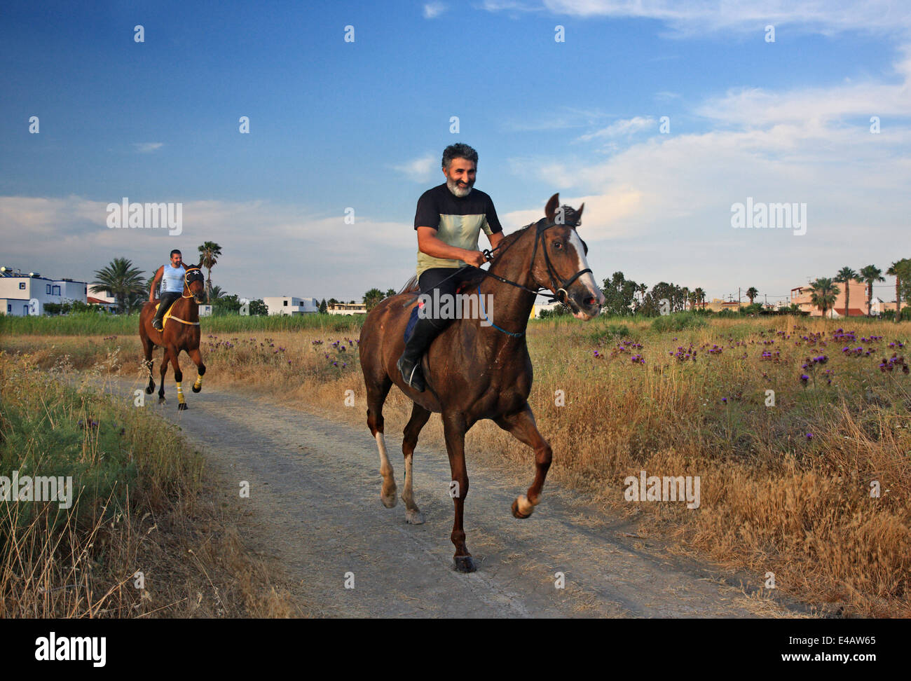 Horse riding at Alykes, close to Tigaki, Kos island, Dodecanese, Aegean sea, Greece. Stock Photo