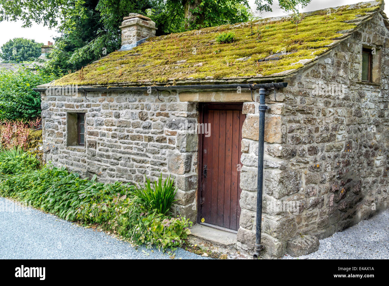 Empty wooden board with moss hi-res stock photography and images - Alamy
