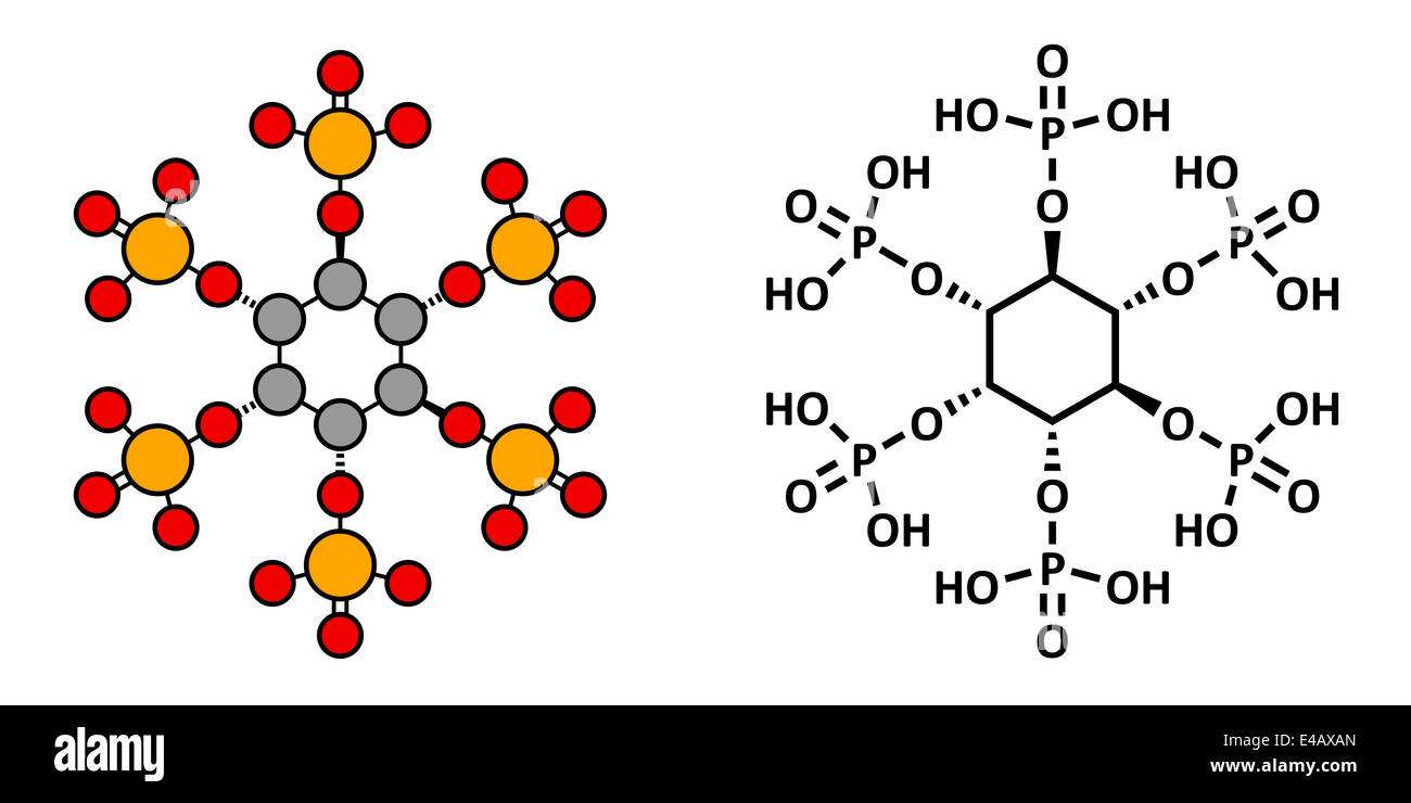 Phytic acid (hexakisphosphate, IP6, phytate) molecule. Present in Stock