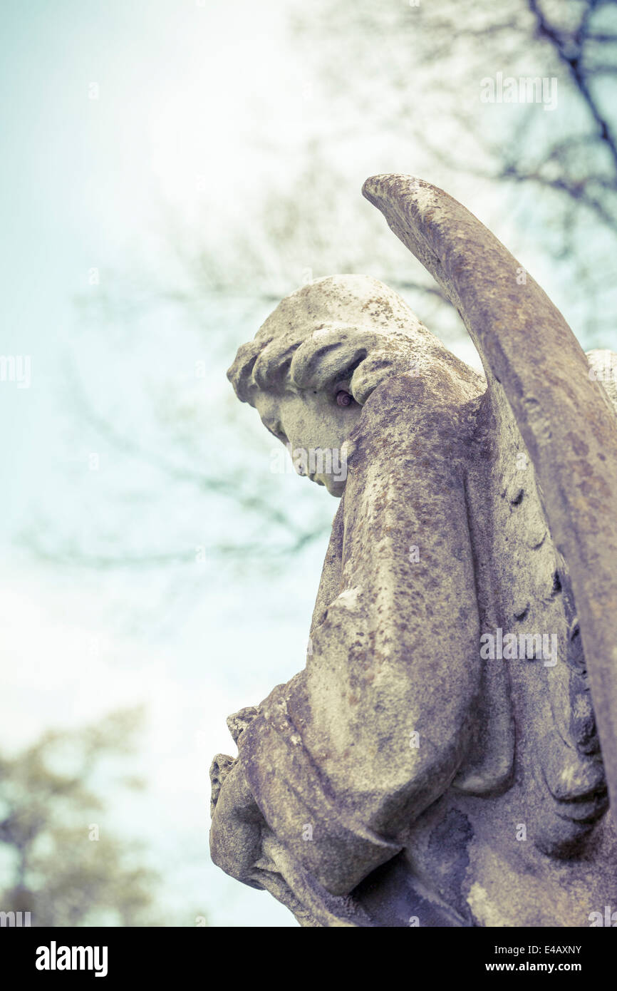 detail of an angel sculpture. Unknown Artist of the 18th Stock Photo ...